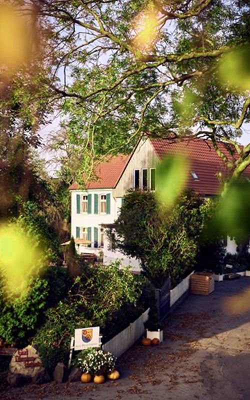 Gut Diepensiepen Farm in Ratingen