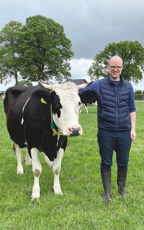 Mann steht neben einer Kuh auf einer Wiese