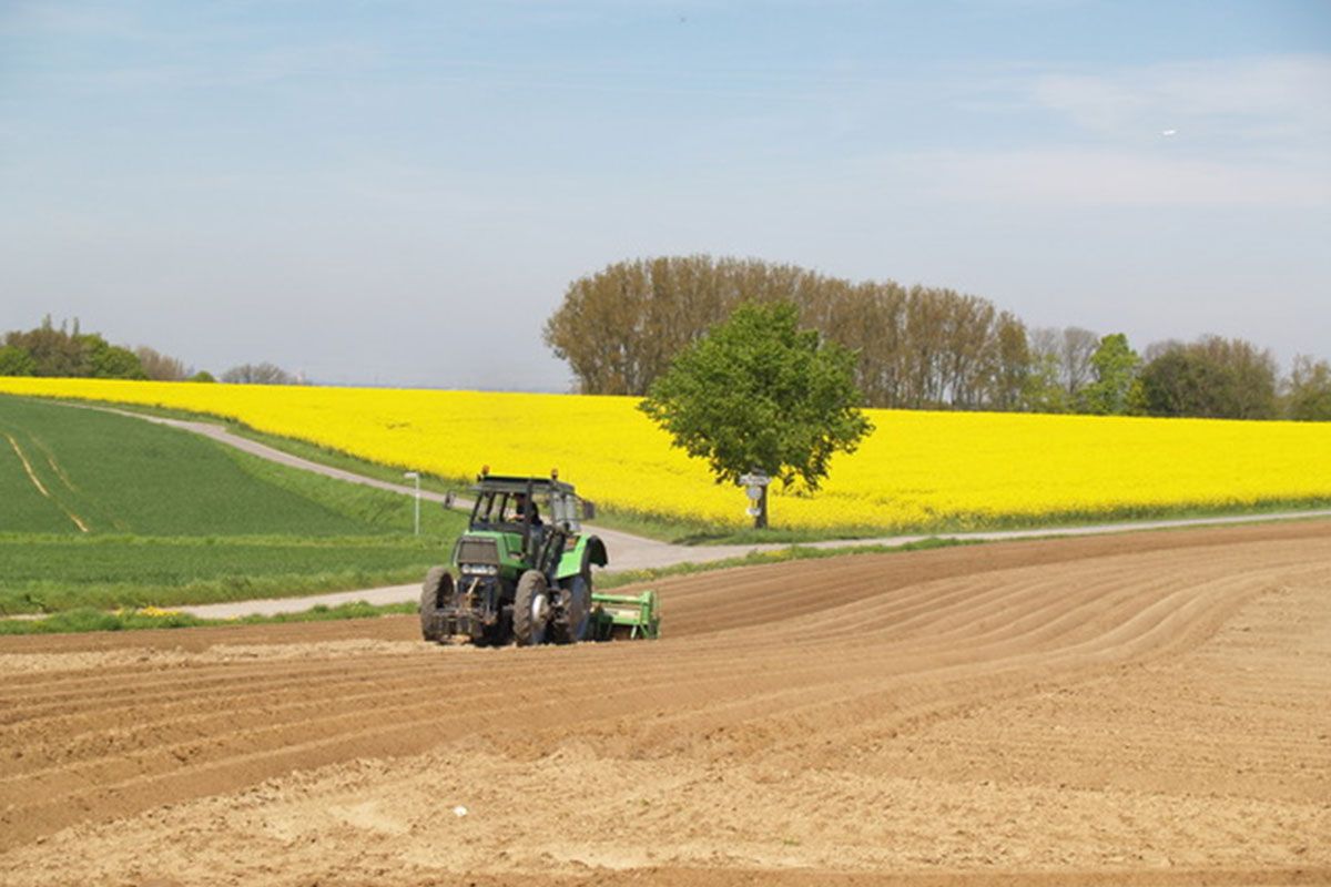 Harvesting in Gut Diepensiepen Farm in Düsseldorf