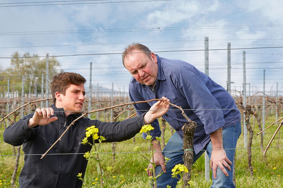 Two men take a closer look at the plants on a farm.