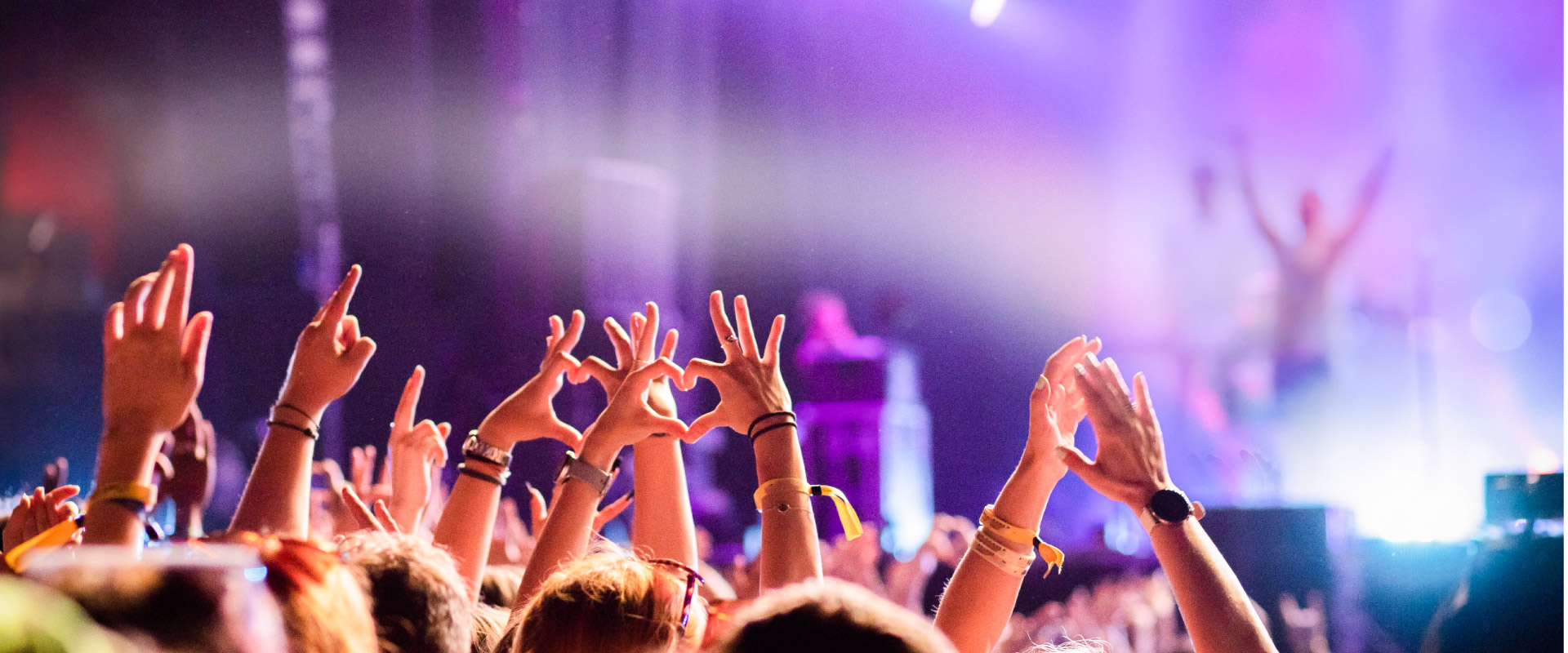 The crowd at a concert in Düsseldorf