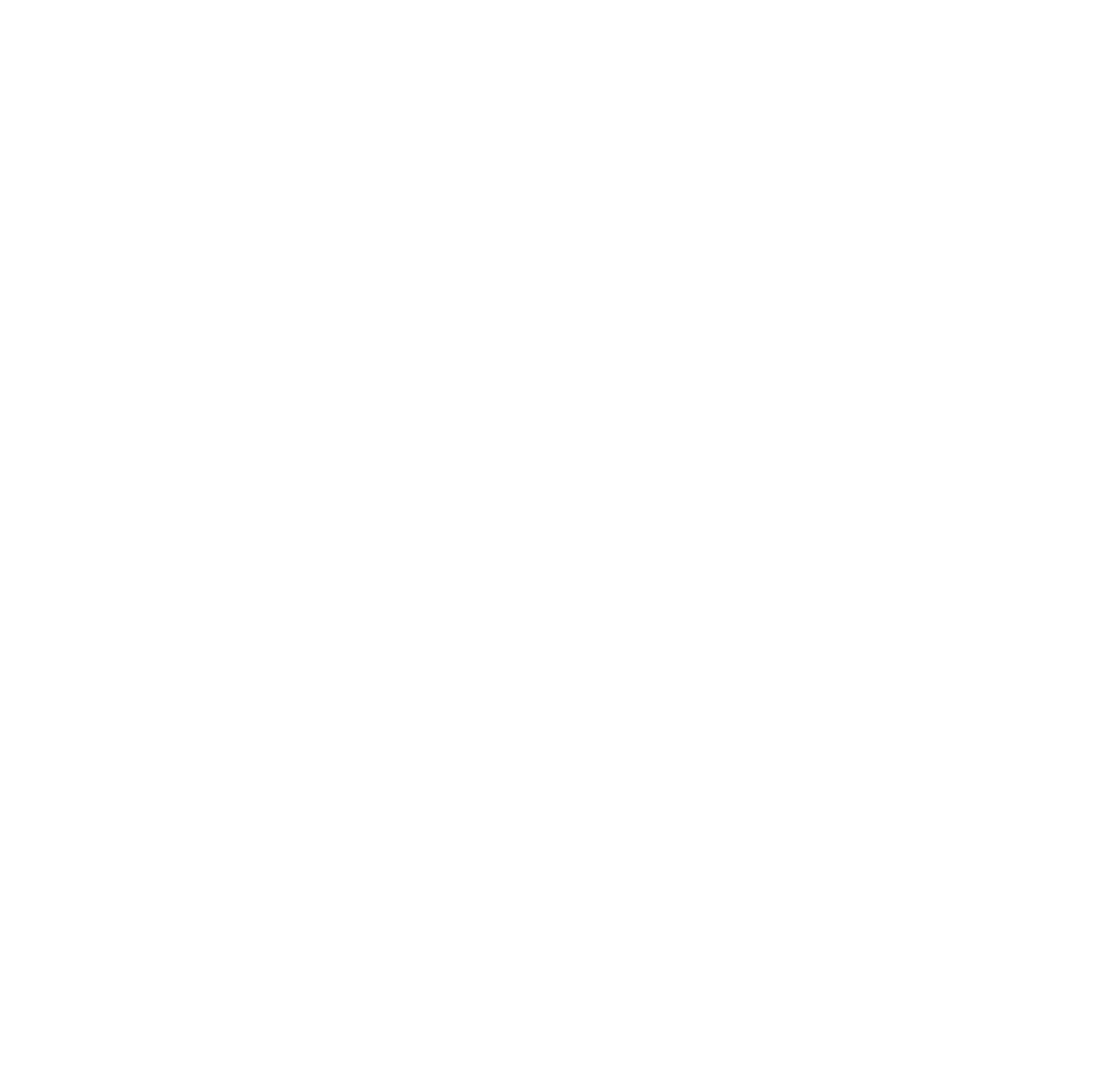 Breidenbacher Hof - Die besten 101 Hotels